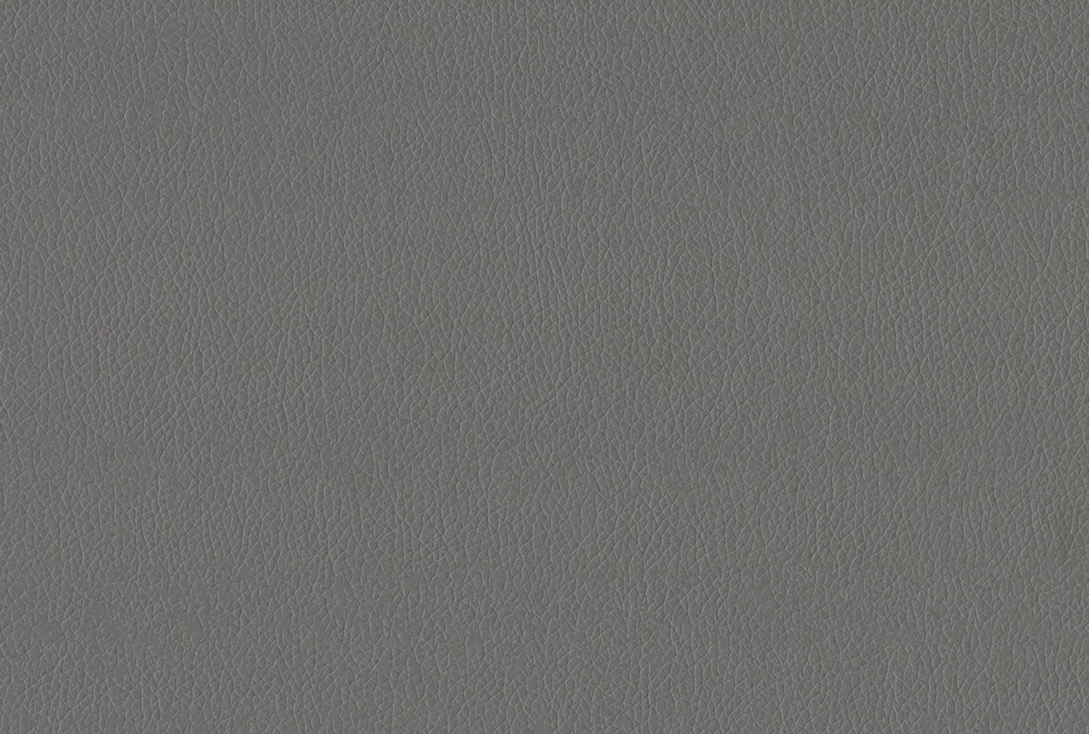 Woodwell Grey Leather Twin Daybed With Trundle - Image 4