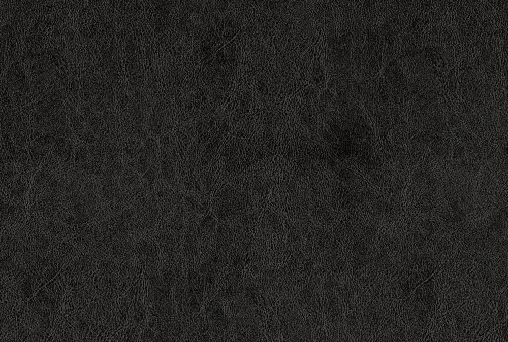 Wichfield Black Twin Daybed With Trundle - Image 3