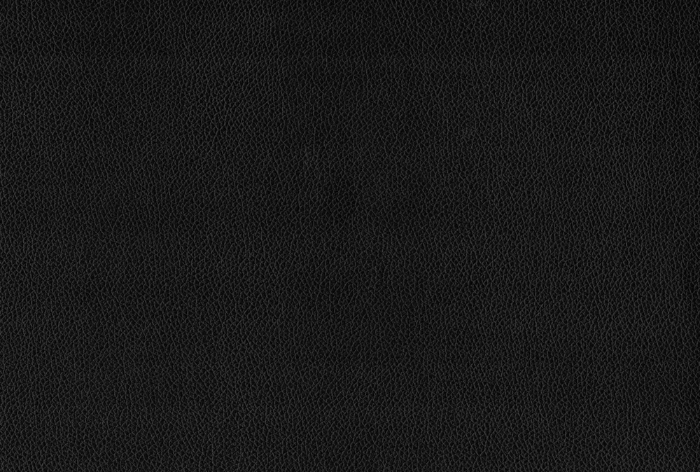 Marcelo Twin Daybed - Image 5