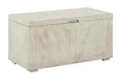 Rider Distresser White Storage Trunk
