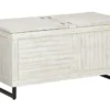 Colt Distressed White Storage Trunk