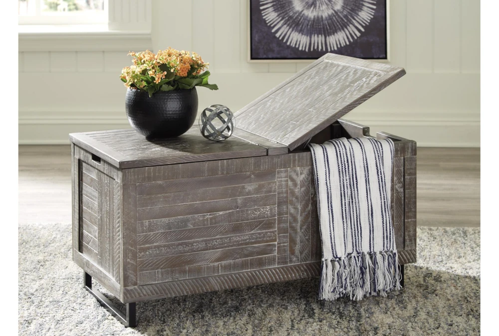 Colt Distressed Gray Storage Trunk - Image 8