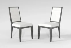 Echo Side Chair Set Of 2