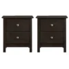 Zodiac Dark Brown 2 Drawer Nightstand Set Of 2