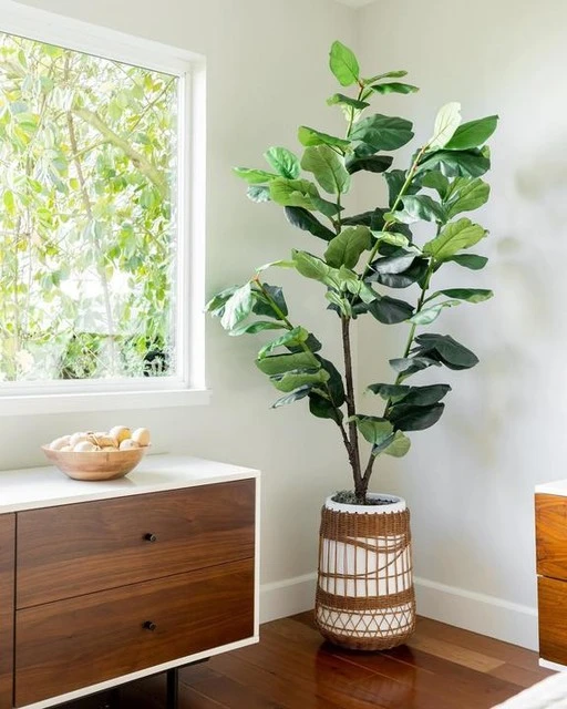 Clark 6 Drawer Dresser - Image 9